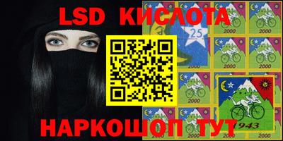 гашик Будённовск