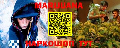 гашик Будённовск