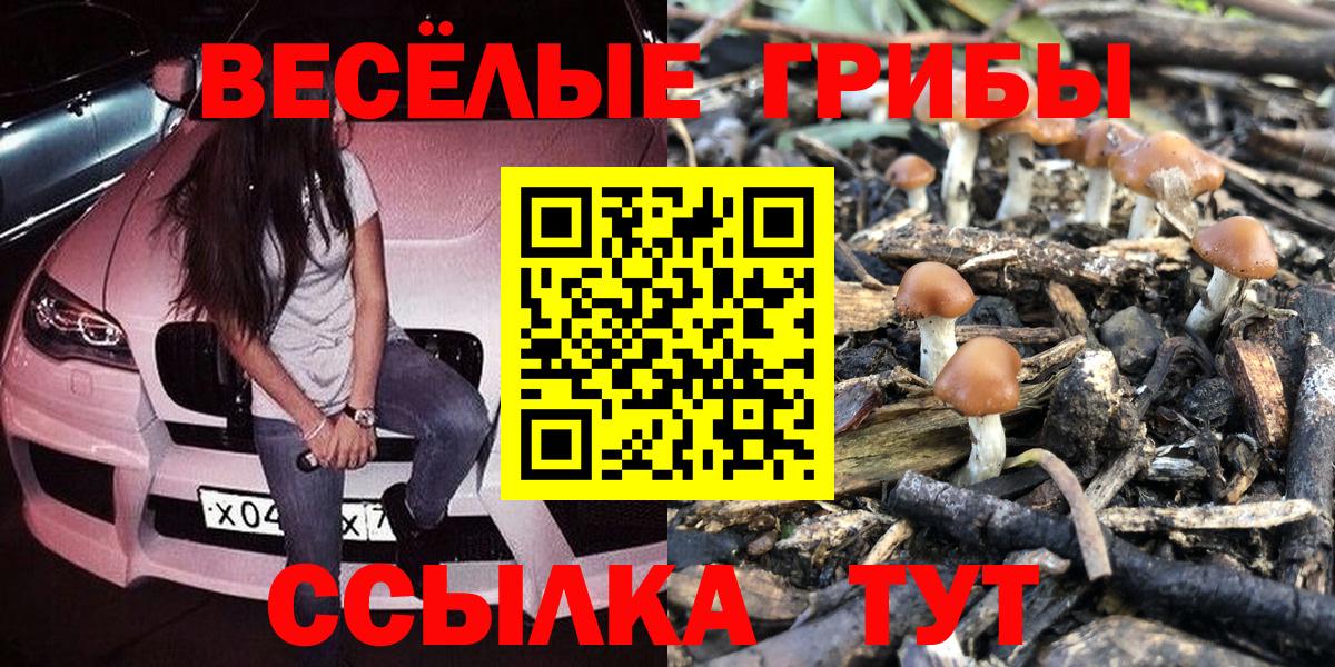 Галлюциногенные грибы Cubensis  Галлюциногенные грибы GOLDEN TEACHER  Вход с VPN  Ртищево 