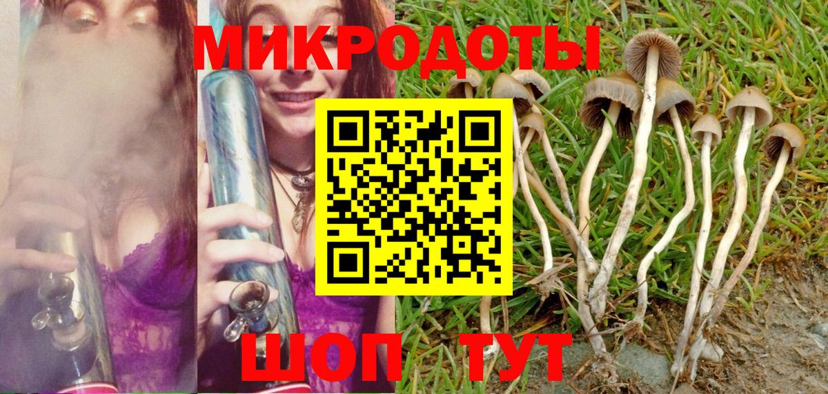 Галлюциногенные грибы MAGIC MUSHROOMS Ртищево
